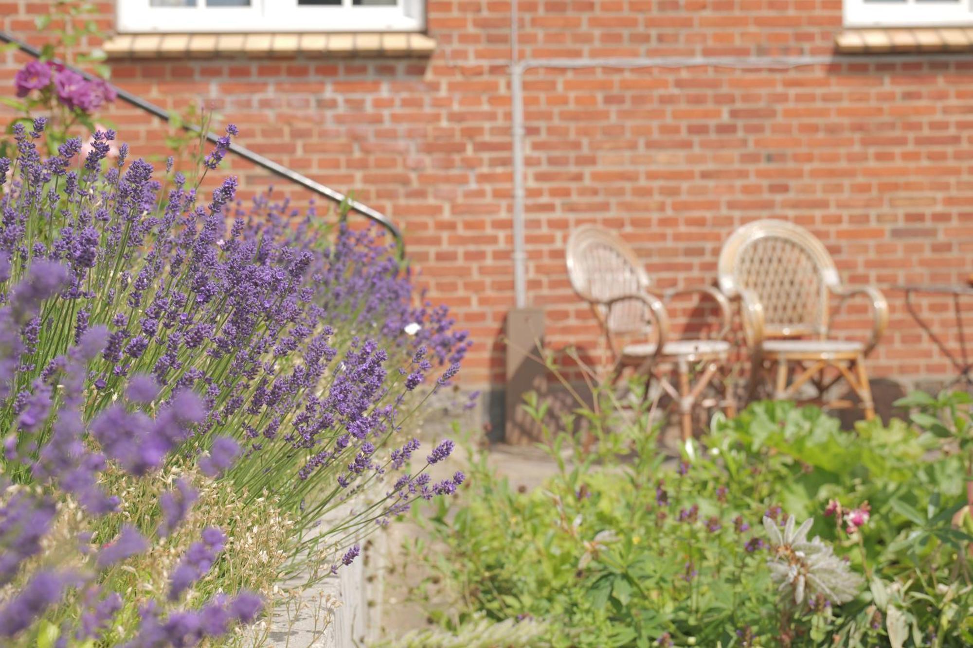 Huset I Hejls Bed & Breakfast Exterior foto